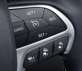 Cruise control switches